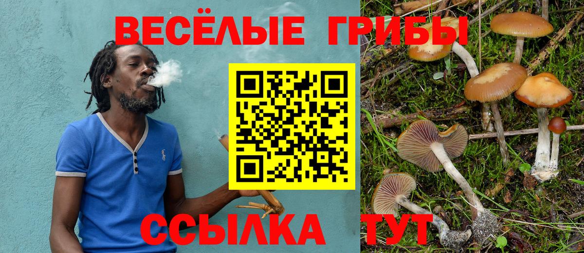 Псилоцибиновые грибы Psilocybine cubensis Дюртюли