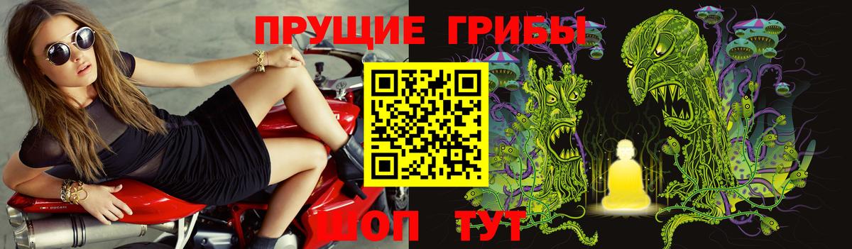 Дюртюли  Псилоцибиновые грибы Magic Shrooms  Вход с VPN 
